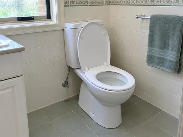 Clean white toilet in a tiled bathroom with a towel rail and window in Gordon